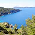 Island Vis